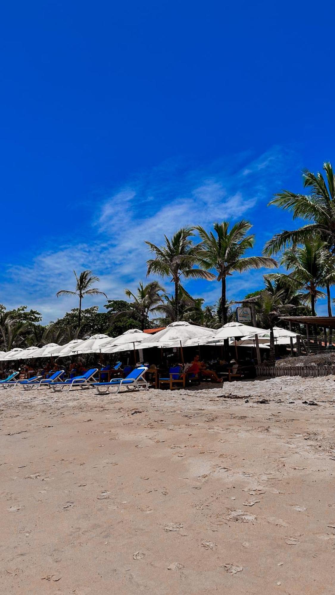 Pousada Villa Zena - Frente Ao Mar - Pe Na Areia ポルトセグロ エクステリア 写真